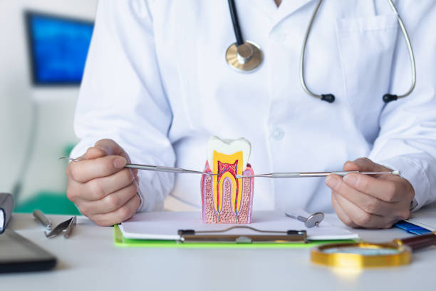 Best Root Canal Emergency Dentist  in Byron, MN